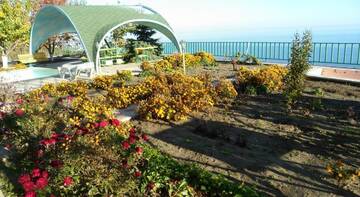 Фотографии Гостевой дом Семейный пансионат Хуторок г. Алупка Крым (Россия) №1 Фото Гостевой дом Семейный пансионат Хуторок г. Алупка 1